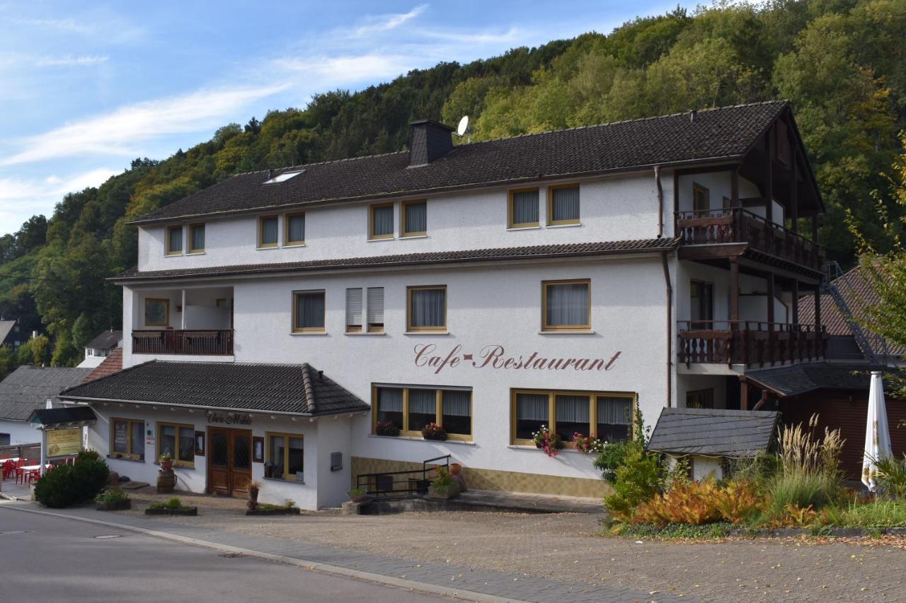 Hotel-Restaurant Theis-Muehle Biersdorf am See Exterior photo